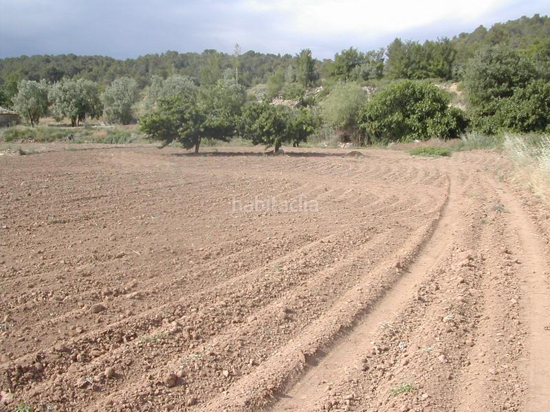 Foto 5a97493d-5a22-4e59-b18d-7a164d4d61b4. Finca rústica en Portellada (La)