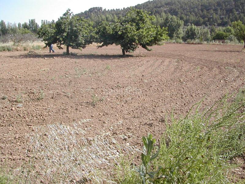 Foto eb512d4b-4901-4b3d-bcd6-a2687968db25. Finca rústica en Portellada (La)