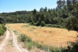 Finca rústica a Valderrobres