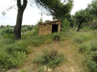 Finca rústica a Horta de Sant Joan