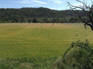Finca rústica a Arens de Lledó