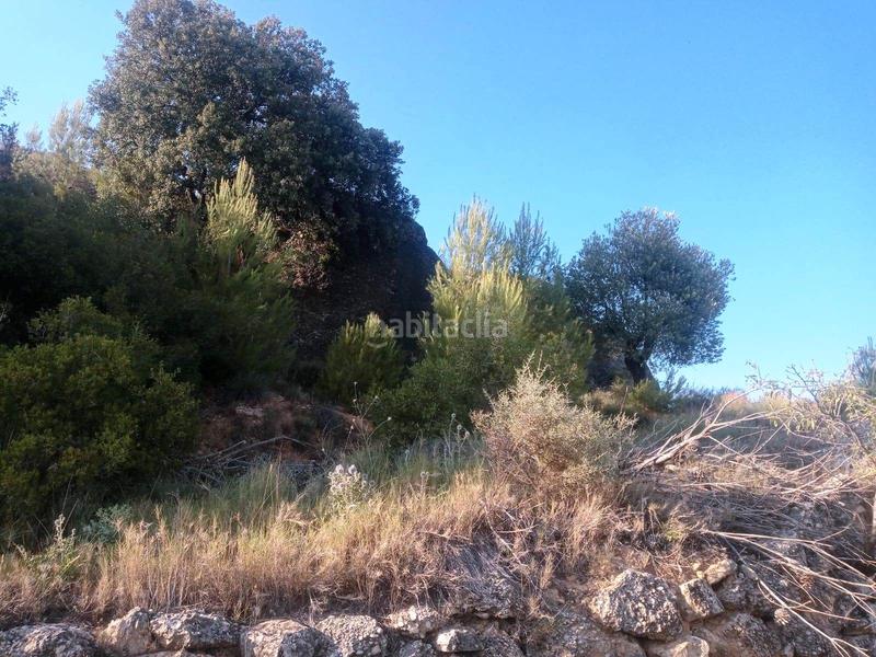 Foto 7e0d5f62-81e1-4ef3-93d8-a31d4e328765. Finca rústica en Monroyo