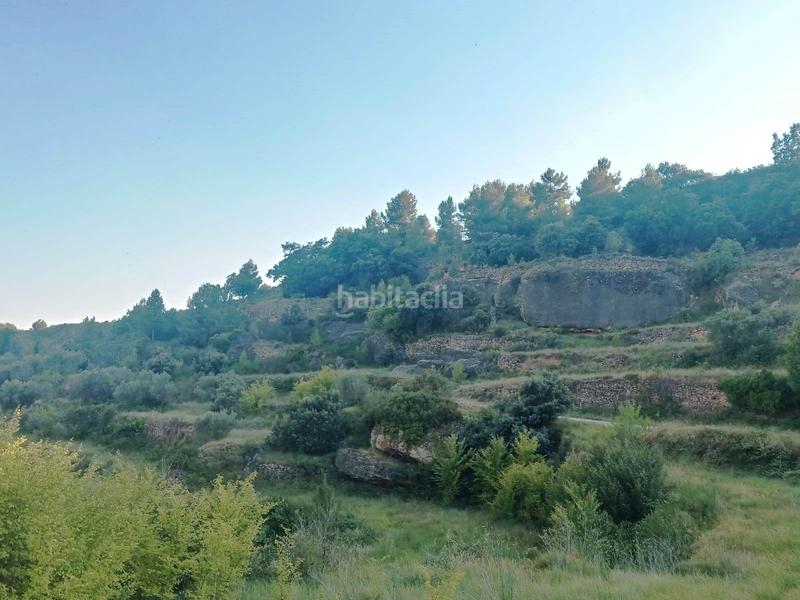 Foto d0e7b63e-dd57-4825-8a03-5ecc959caba0. Finca rústica en Monroyo