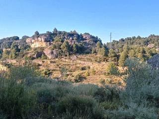 Finca rústica a Monroyo