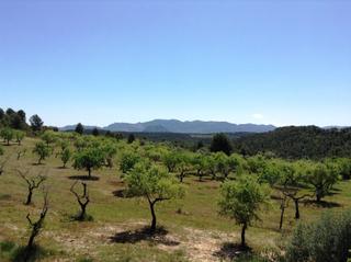 Finca rústica a Arens de Lledó