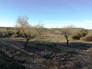 Finca rústica a Valderrobres