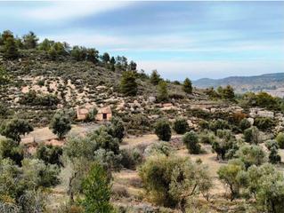 Landgut in Calaceite