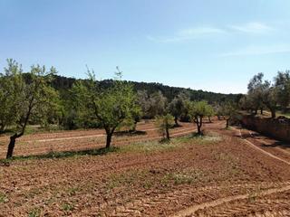 Rural plot in Cretas