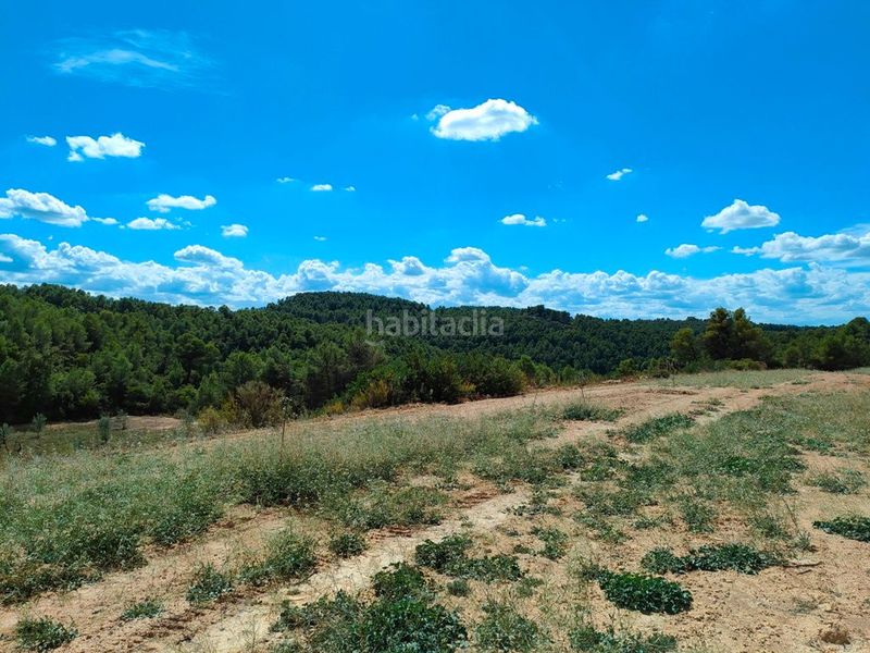 Foto 21833807-4cfa-42a8-945a-fba2ce530950. Finca rústica a Horta de Sant Joan