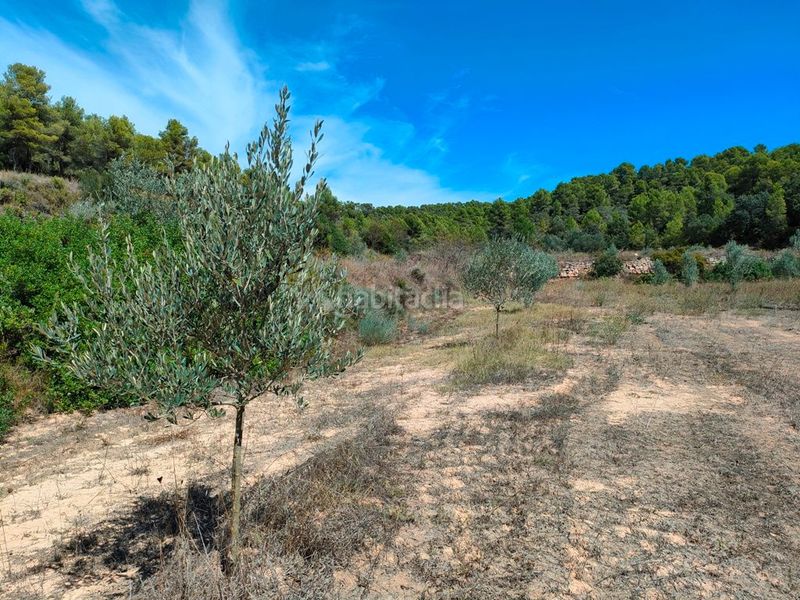 Foto 46a827d8-c4a1-45bc-ae6d-b21211633e3c. Finca rústica a Horta de Sant Joan