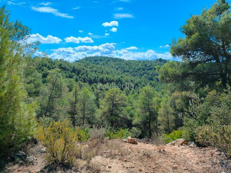 Foto 4edf5559-fd76-4b26-992a-c33b83fad5d2. Finca rústica a Horta de Sant Joan