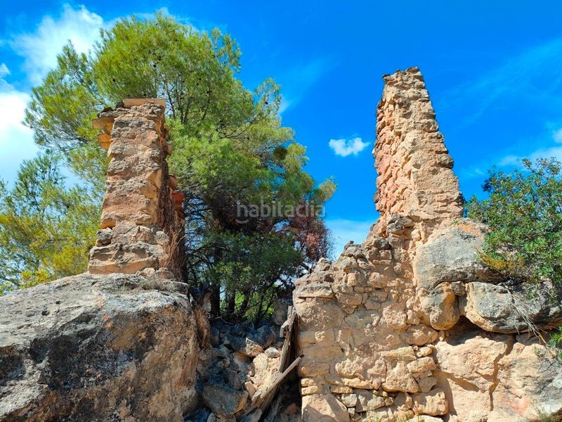 Foto 68b29db4-3886-411c-bf11-5f543889aaa0. Finca rústica a Horta de Sant Joan