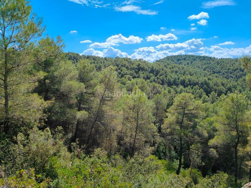 Foto 6bbba0b0-32f6-4934-aa8d-6d1ff919d91e. Finca rústica a Horta de Sant Joan