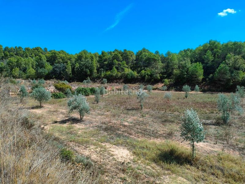 Foto bc696dd9-dc2c-48ab-b2ef-fedf5fb113b7. Finca rústica a Horta de Sant Joan