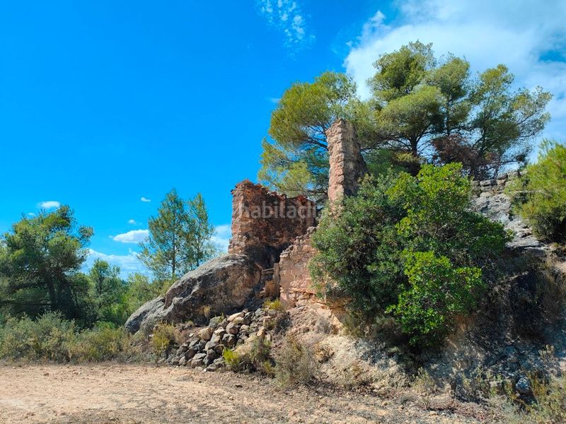 Foto c8cf5a39-7f2c-4622-a252-01767a385ff5. Finca rústica a Horta de Sant Joan