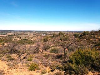 Rural plot in Valderrobres
