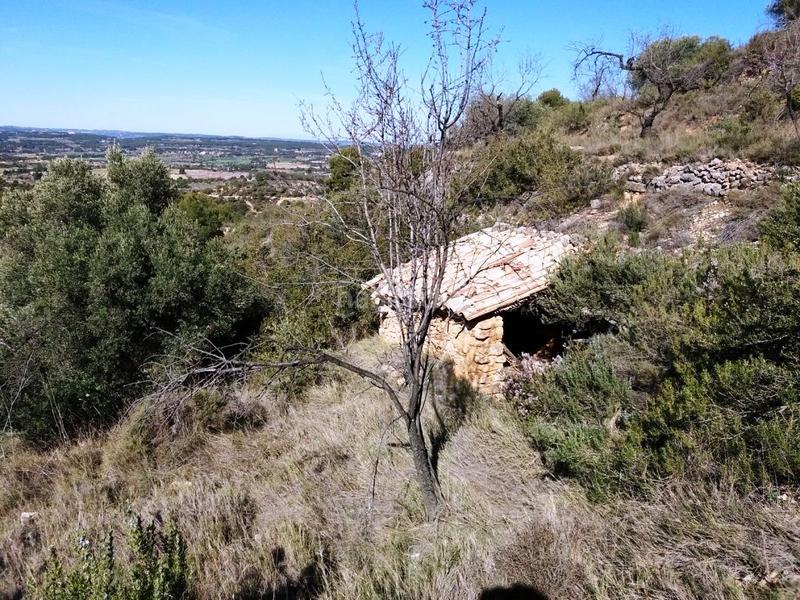 Foto 3dc31f42-3442-48dc-8e13-3608b97b7f5c. Finca rústica a Valderrobres