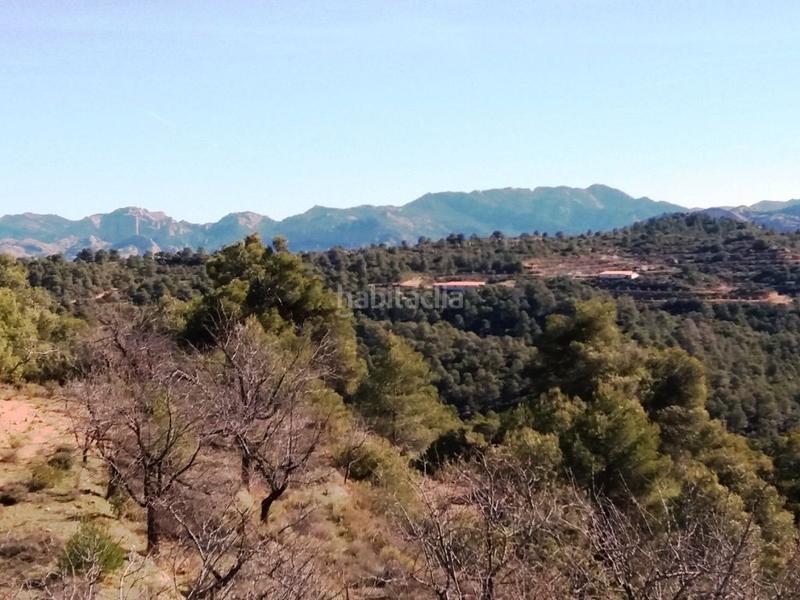 Foto 4c82bbf5-f4e2-48b2-8a06-d0f7297d9fc3. Finca rústica a Valderrobres