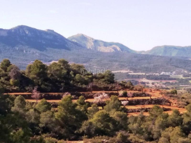 Foto cafba196-05b5-435e-a562-8bffdf2be573. Finca rústica a Valderrobres