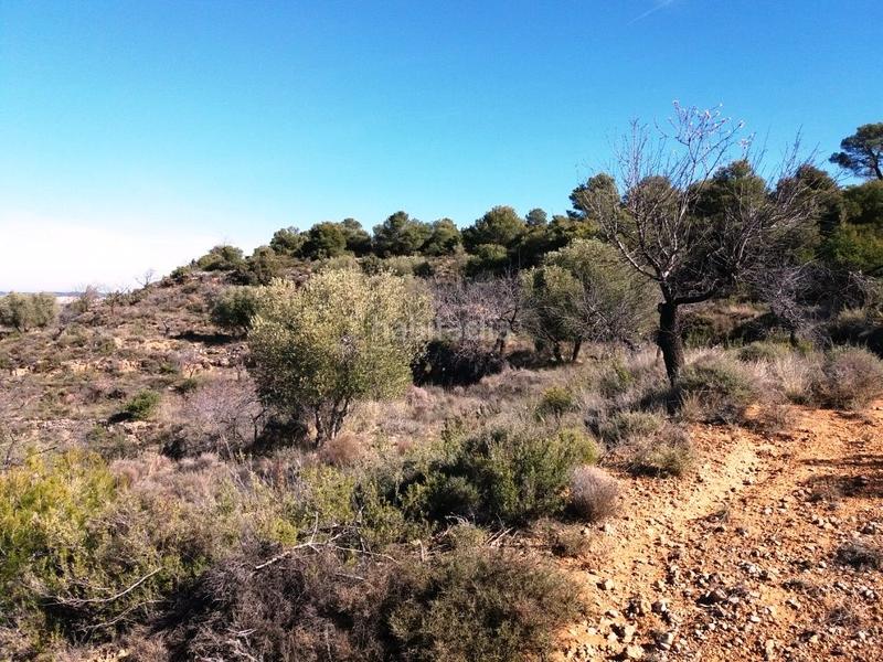 Foto d0250faa-5b30-4e1b-b670-c2571cfc21db. Finca rústica a Valderrobres