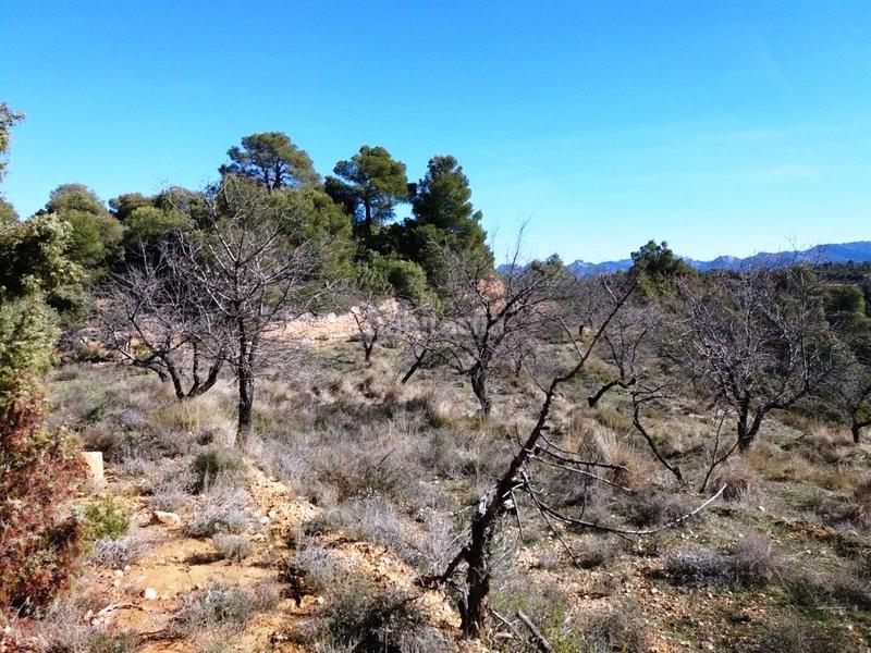 Foto d5965c0f-b241-4b8b-9110-a2781e9dbb32. Finca rústica a Valderrobres