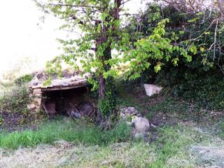 Finca rústica a Torre del Compte