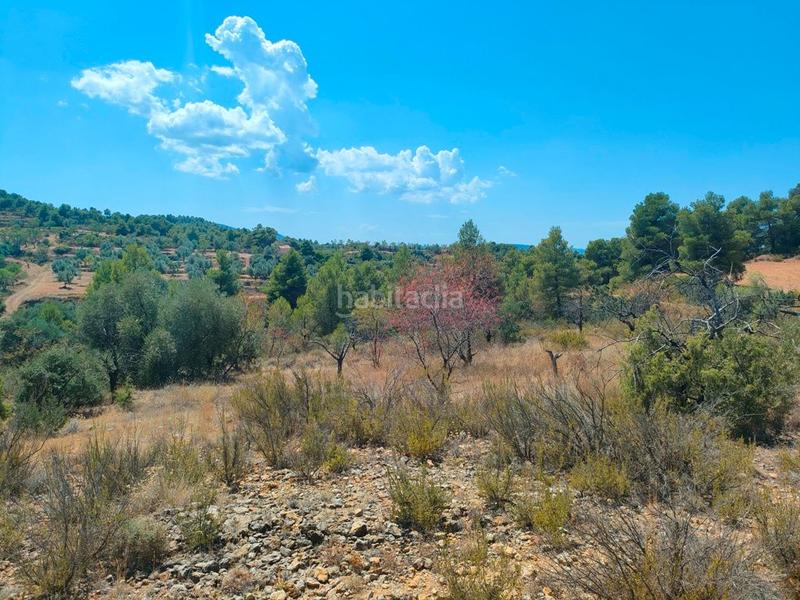 Foto 01a4589a-c176-4ae4-ba65-aed0777f43d7. Finca rústica en Valderrobres