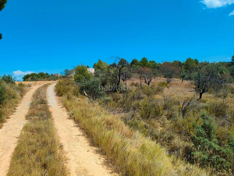 Foto 18c2bcf4-6dc4-4a6b-a753-87872761c62a. Finca rústica en Valderrobres