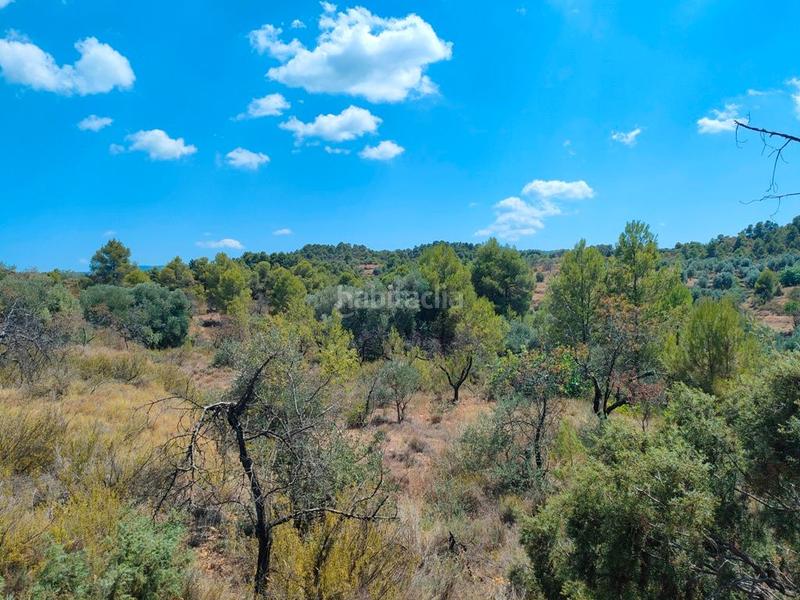 Foto 7a60a34b-6f53-406a-aa0c-d144cf641dfe. Finca rústica en Valderrobres