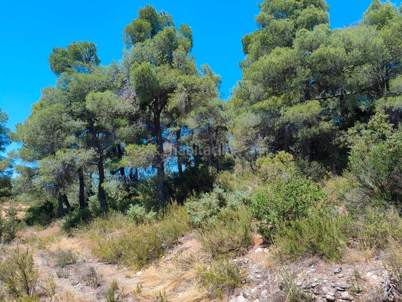 Foto 7b27eaa8-409c-42da-b6c4-d6308812b58f. Finca rústica en Valderrobres