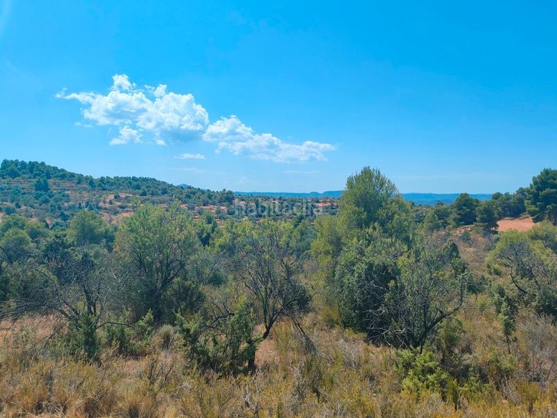 Foto b089356a-2e74-4830-b0dd-2983f946f224. Finca rústica en Valderrobres