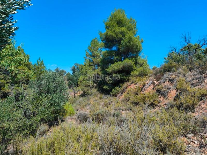 Foto b2ac15e9-324a-417b-865f-6c8e1f05e50c. Finca rústica en Valderrobres