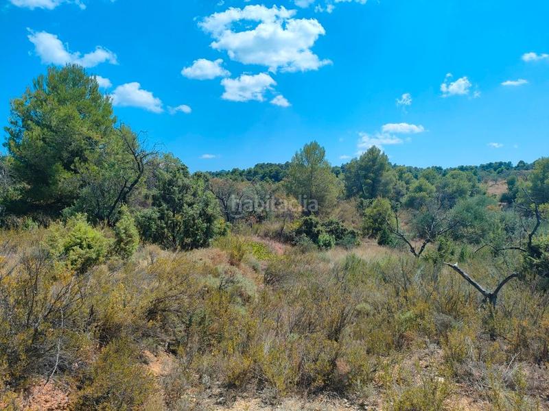 Foto f22be199-2701-40bc-92e5-34ae325f832f. Finca rústica en Valderrobres