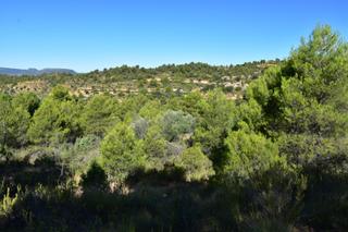 Fondo rustico in Valderrobres