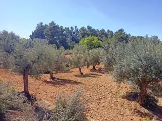 Propriété à Cretas