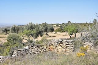 Finca rústica a Valdealgorfa