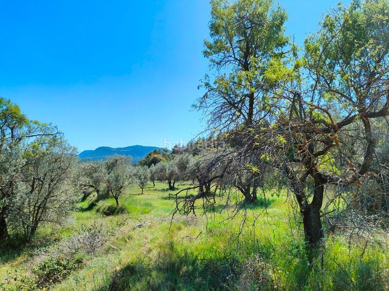 Foto 7a8d29b3-c554-4726-ae1a-273c698abffd. Fondo rustico in Ráfales