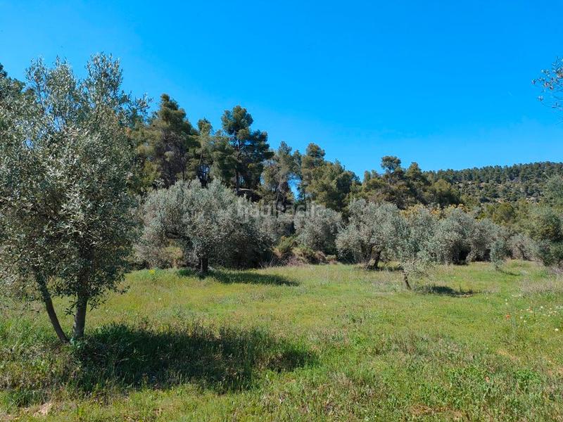 Foto 83aa6785-9177-40b0-aed5-31296768e79a. Fondo rustico in Ráfales