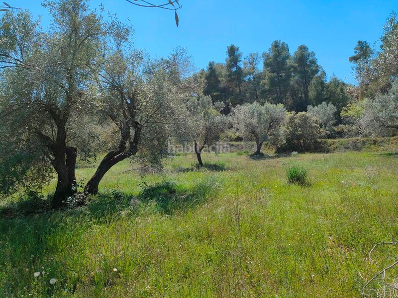 Foto 95ca0447-b82d-4f9d-846a-a254f137052d. Fondo rustico in Ráfales