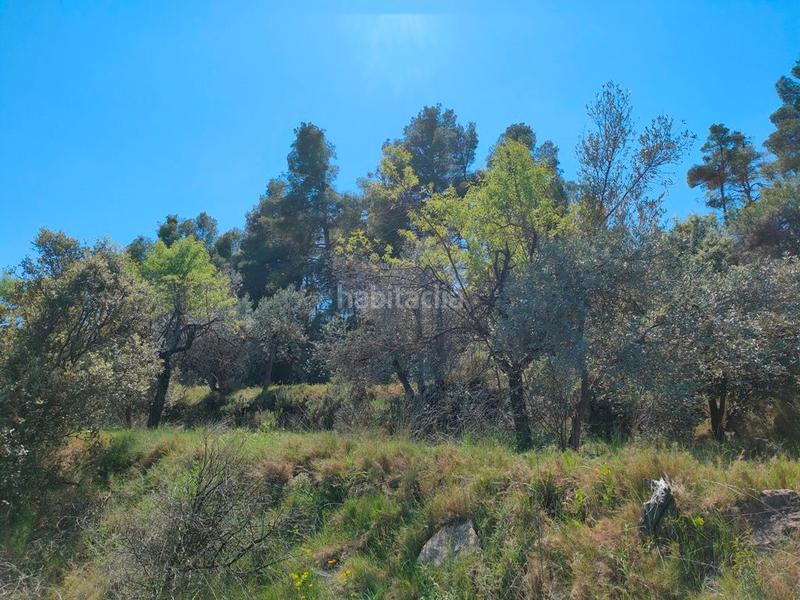 Foto c3fd1cd0-4701-440c-a806-daaa134d8918. Fondo rustico in Ráfales