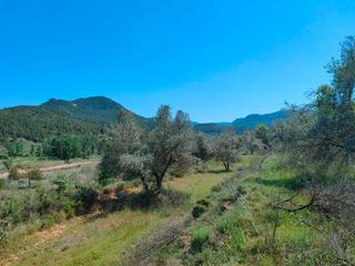 Finca rústica a Ráfales