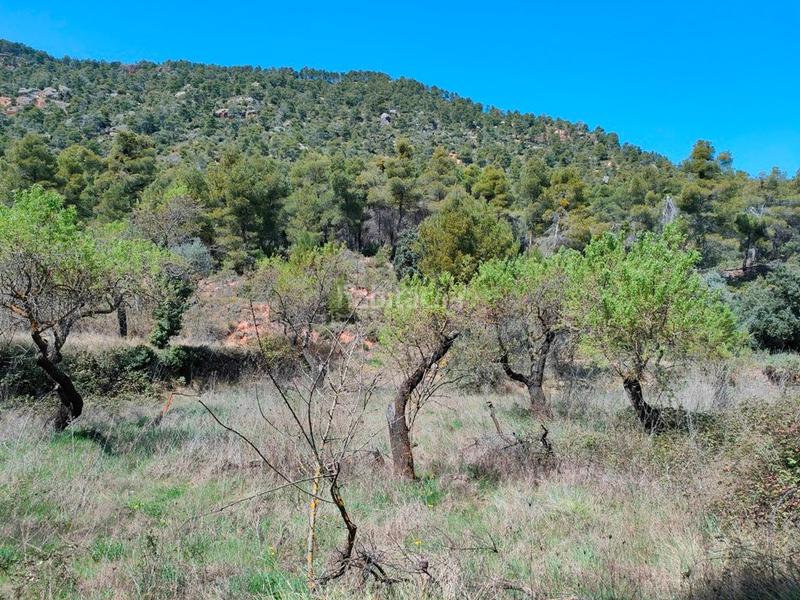 Foto f6a18564-0d8a-45bf-9cda-cd8a41b568b4. Fondo rustico in Ráfales