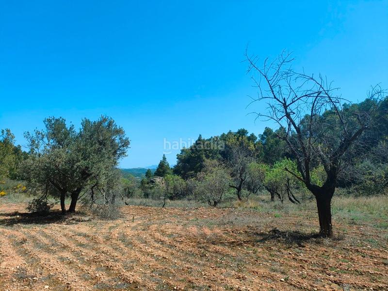 Foto fa6a2230-fbaa-4cfe-8e65-6336131ec30c. Fondo rustico in Ráfales