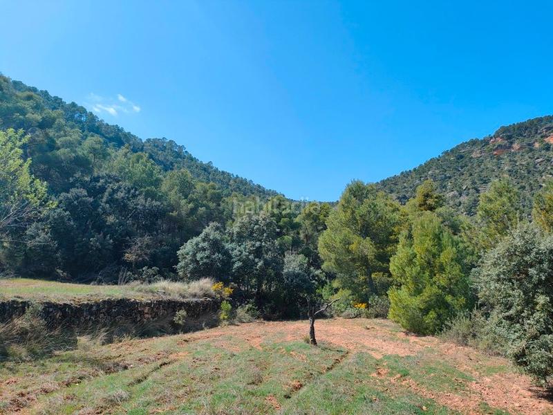 Foto 61b1ce24-b176-4ba7-a84e-3bcf3ea41c60. Finca rústica a Ráfales