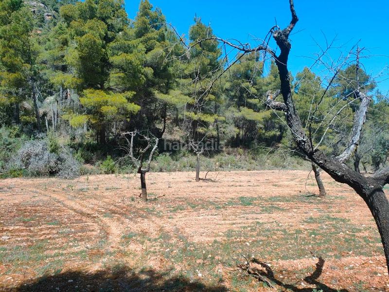 Foto 81a07c8e-c8d1-4133-83d9-8386eaaaf093. Finca rústica a Ráfales