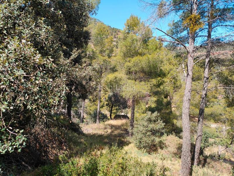 Foto 831b731a-4675-4c3f-8018-c79e97b19d6d. Finca rústica a Ráfales