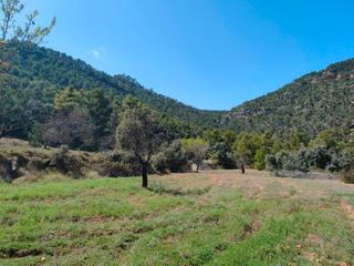 Finca rústica a Ráfales