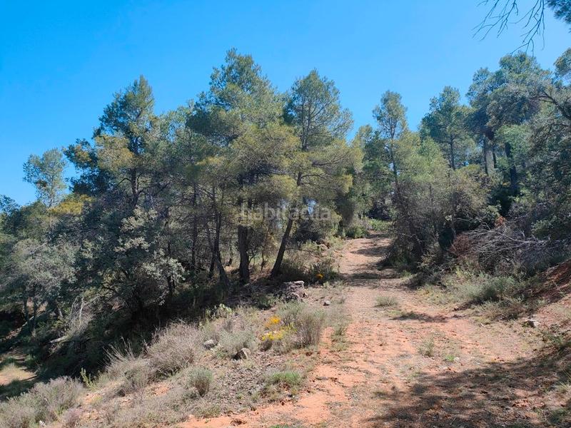 Foto 95ae69b6-c3f1-4dc9-b22c-944e526370cc. Finca rústica a Ráfales