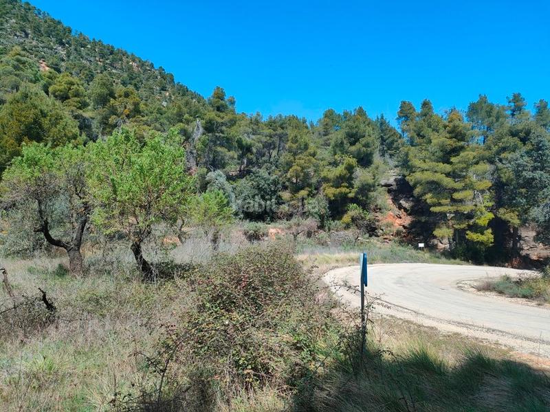 Foto b341ff34-2a3e-4d1e-8893-cbf0b664831d. Finca rústica a Ráfales