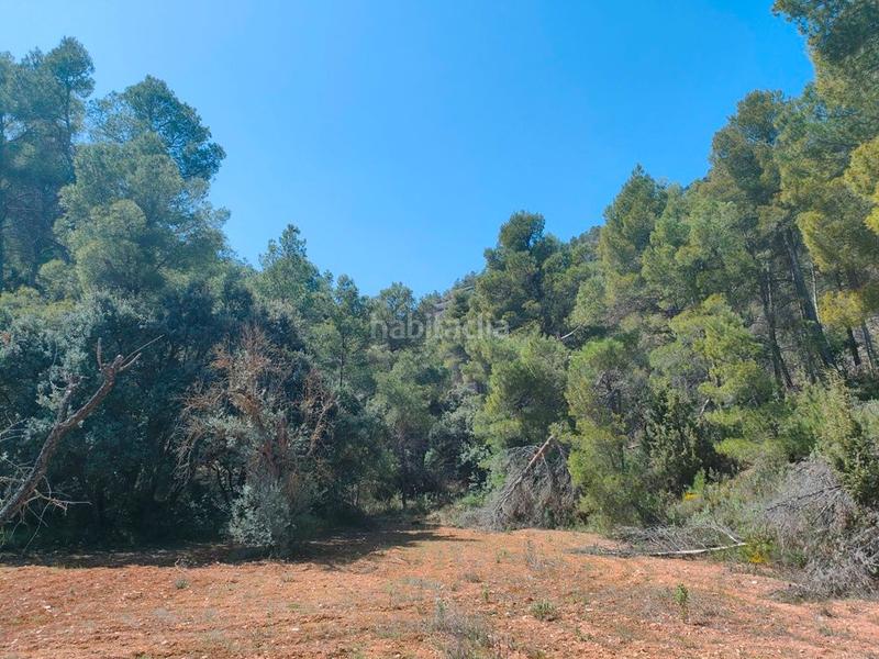 Foto f4b58c64-fa81-4a6f-8010-5dcde05538cc. Finca rústica a Ráfales